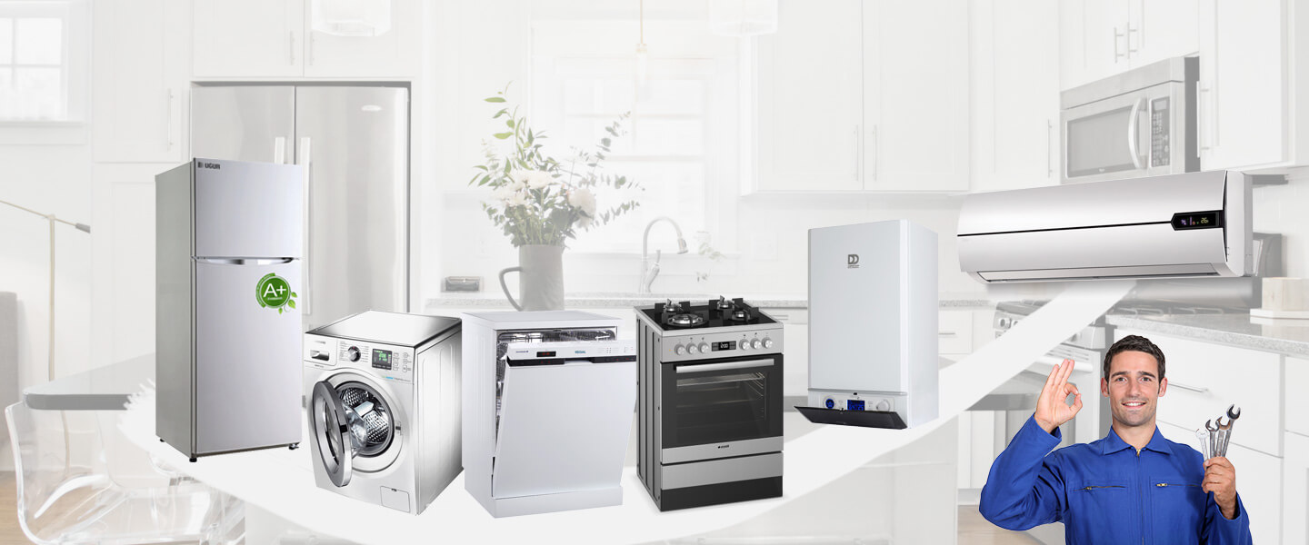 Altınekin Gorenje Servisi